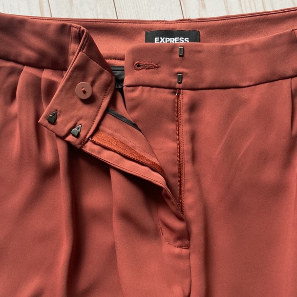 EXPRESS | Terracotta Ankle Pants - Picture 5 of 10